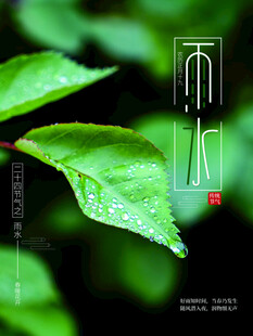 雨水海报