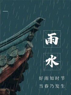 雨水海报