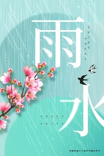 雨水海报