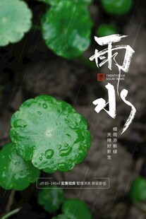 雨水海报