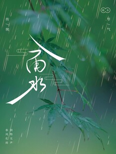 雨水海报