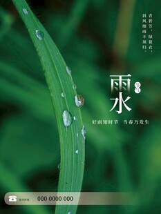雨水海报