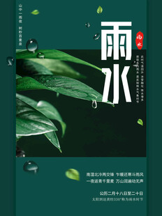 雨水海报
