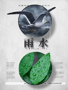 雨水海报