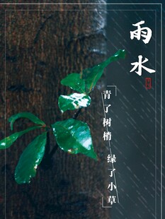 雨水海报