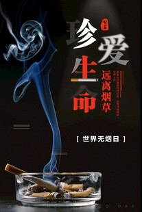 无烟日海报