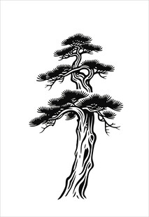 水墨风格单株松树图