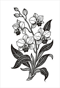 手绘兰花花卉图案