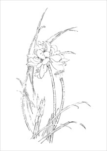手绘线条勾勒的精美花卉