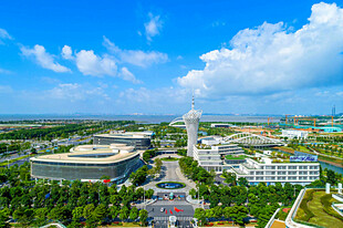 东莞滨海湾新区