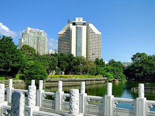 深圳荔枝