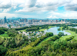深圳龙岗区