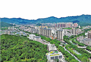 云浮云城区
