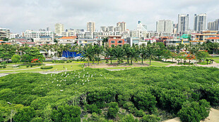 湛江市