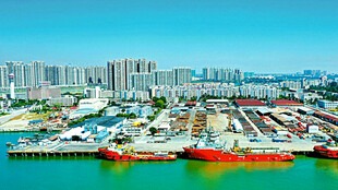 湛江坡头区