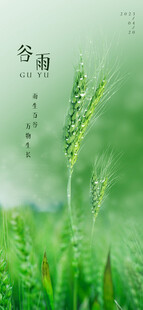 谷雨海报