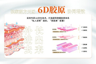 6D胶原皮肤结构展示图