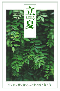立夏时节绿意盎然
