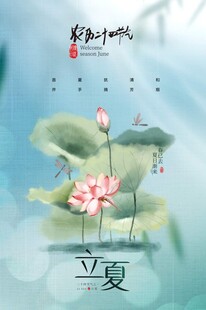 立夏时节荷花绽放美景