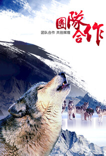 团队精神海报