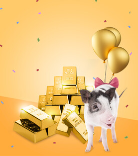 金猪纳福海报