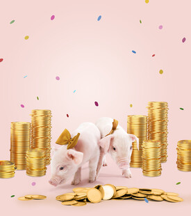 金猪纳福海报