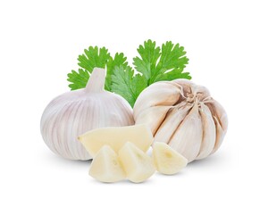 新鲜大蒜与翠绿香菜