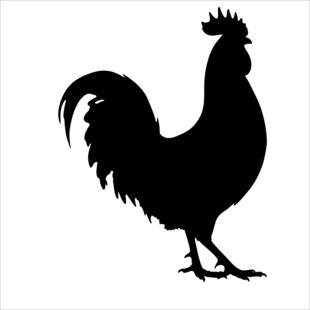 公鸡剪影