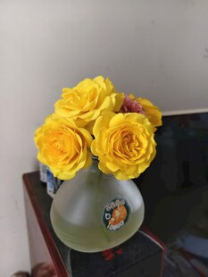 花瓶中绽放的黄色玫瑰