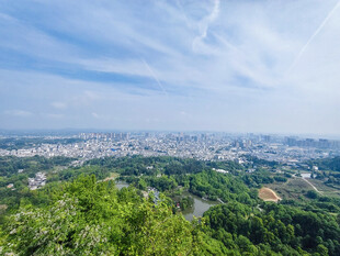 俯瞰城市与葱郁山林景观