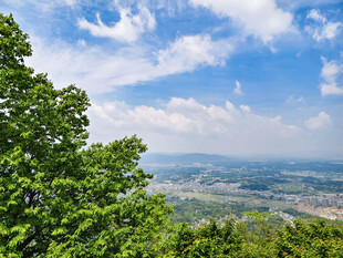 山顶俯瞰绿意盎然美景