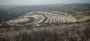 金鸡岭