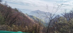 秦岭
