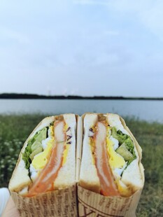 户外手持美味夹心三明治