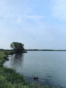 湖畔风光