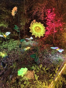 梦幻荧光植物景观