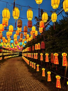 夜晚街道悬挂的绚丽灯笼