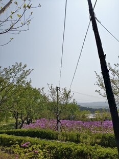 春日田园风光