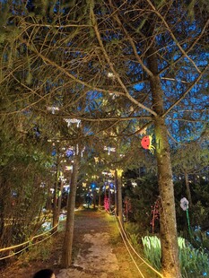 夜晚林间彩灯装饰的步道