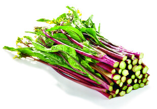 红菜芯