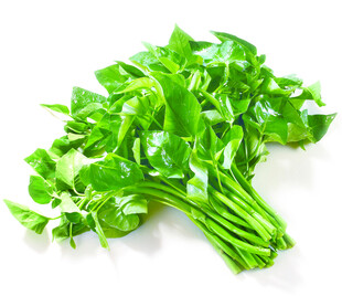新鲜翠绿空心菜