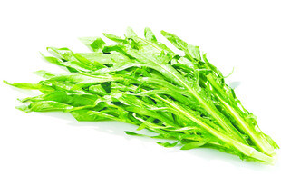 苦麦菜