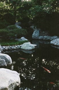 日式庭院池塘锦鲤景观