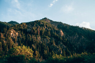 青山绿树间的秀丽山景