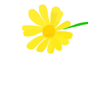 黄色小花插画