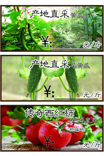 蔬菜种植生长过程展示