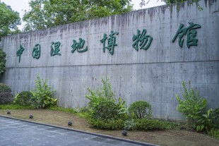 中国湿地博物馆 