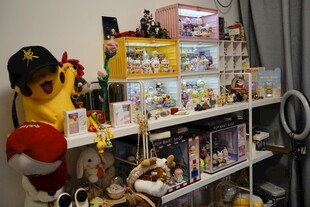 摆满玩偶手办的展示架