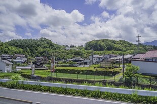 日本乡村公路旁的田园风光