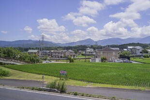 日本乡村公路旁的美丽田园风光